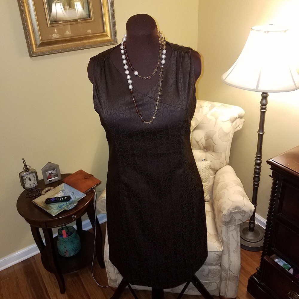 Coldwater Creek Size 16 Brown dress